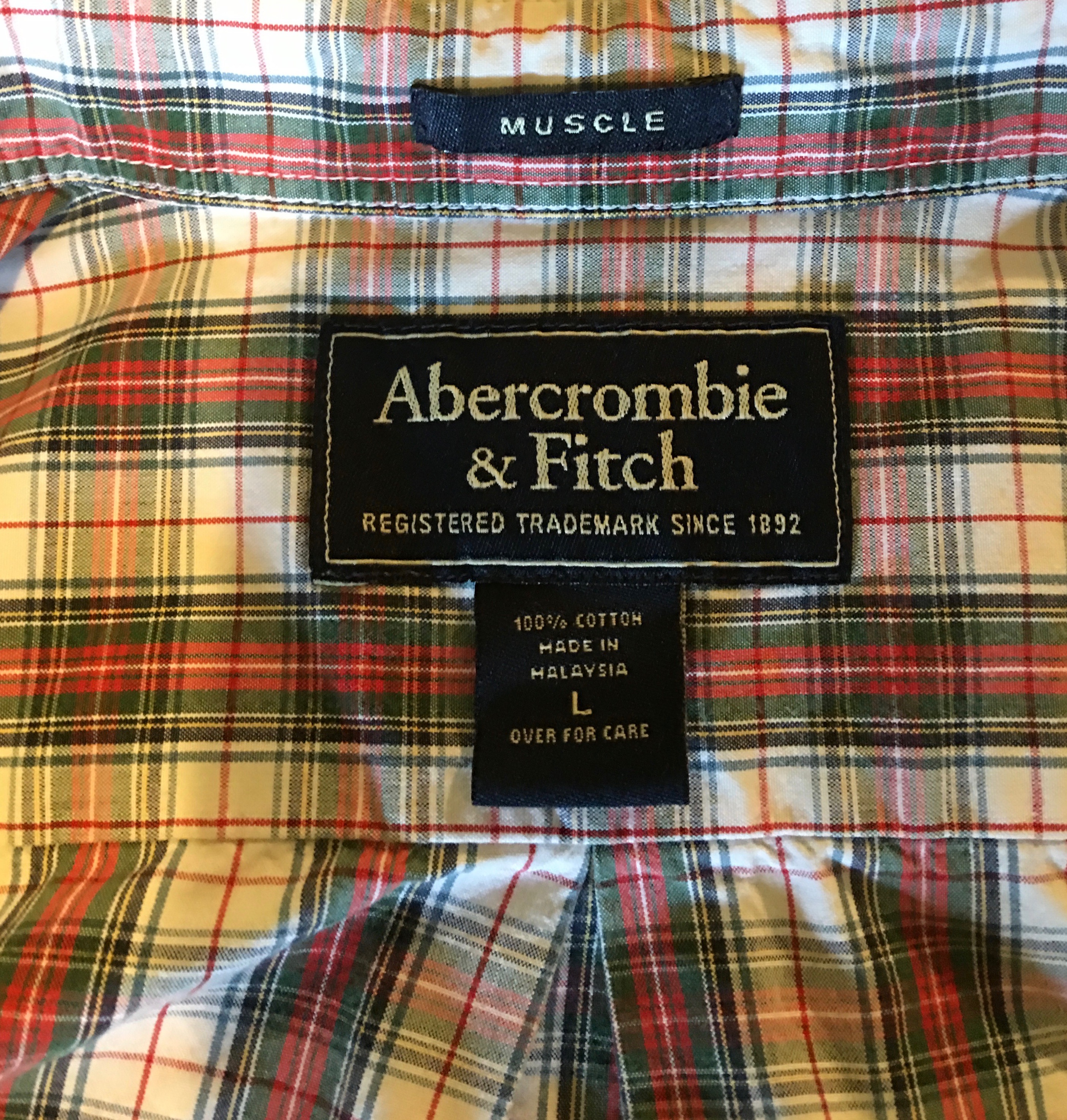 Silver Coconut » Abercrombie and Fitch Plaid Button Down