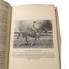 Schooling Your Horse Hardback by Vladimir S. Littauer - Image 6