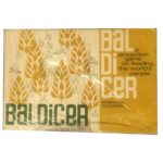 Baldicer Board Game