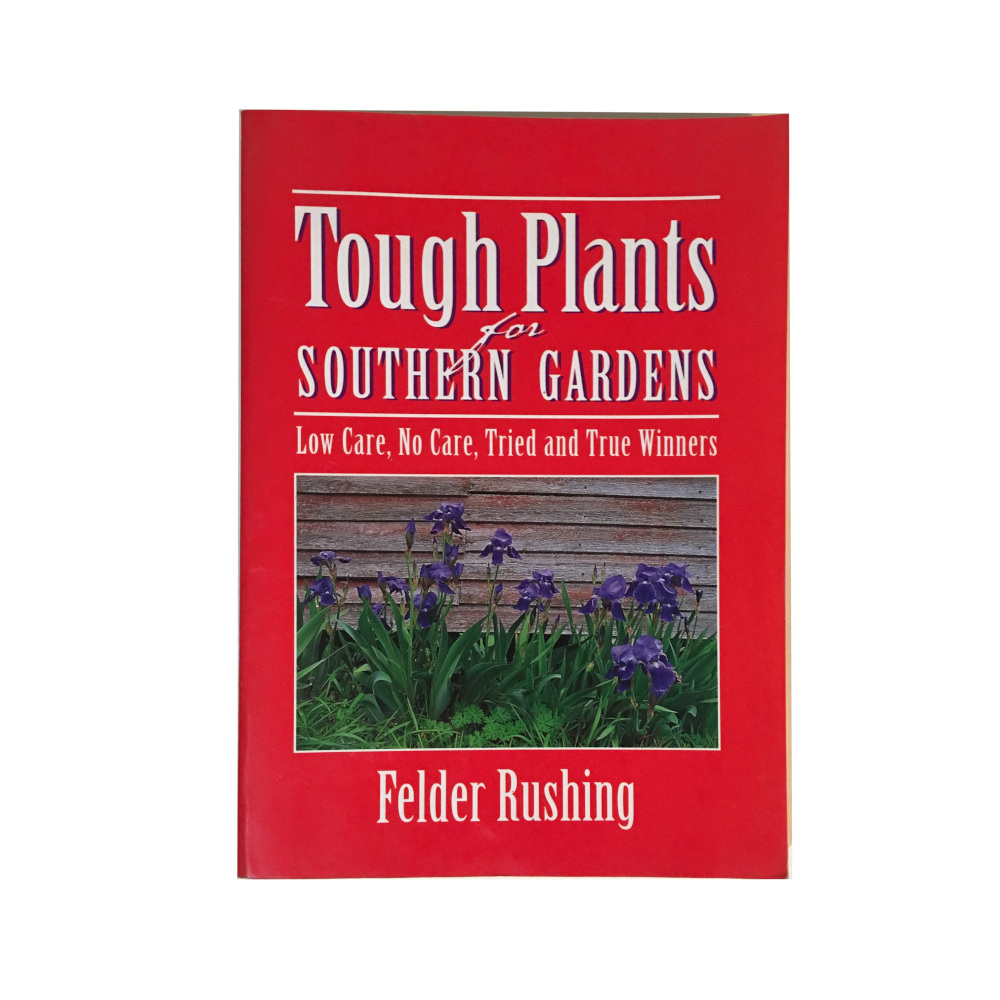 Tough Plants For Southern Gardens Low Care, No Care, Tried and True Winners