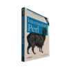 Intermediate Perl