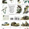 Audubon's Birds opf America Coloring Book back cover