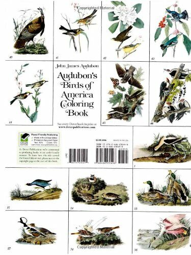 Audubon's Birds opf America Coloring Book back cover
