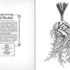 The Wicked Plants Coloring Book - Image 4