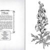 The Wicked Plants Coloring Book - Image 6