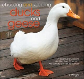 choosing and keeping ducks and geese